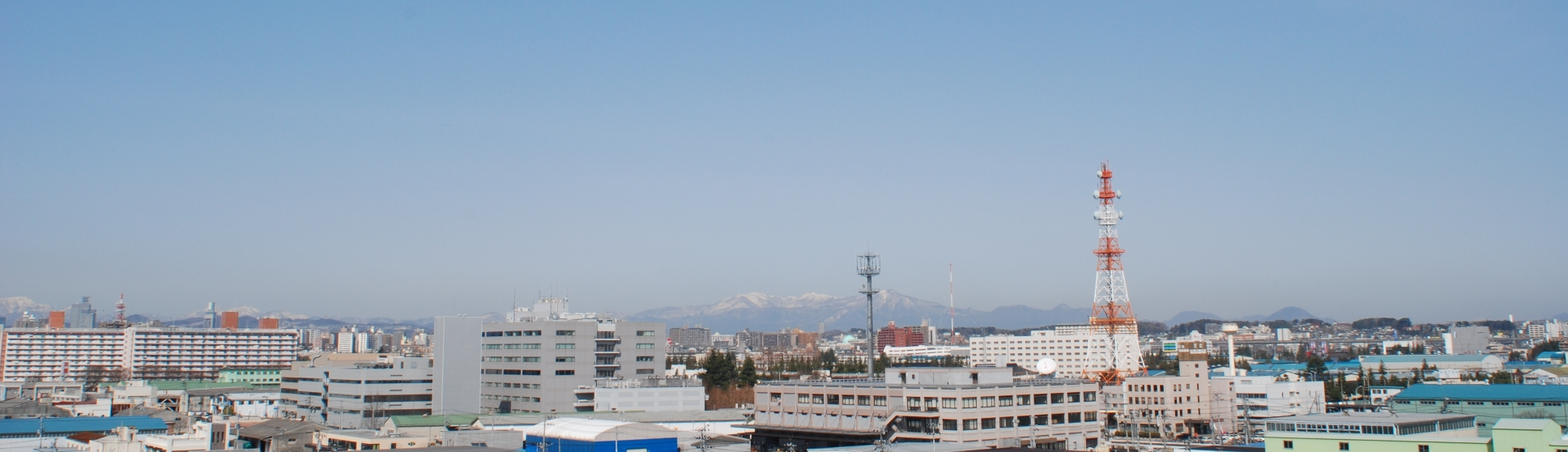 �T�[�r�X���Ɖ�